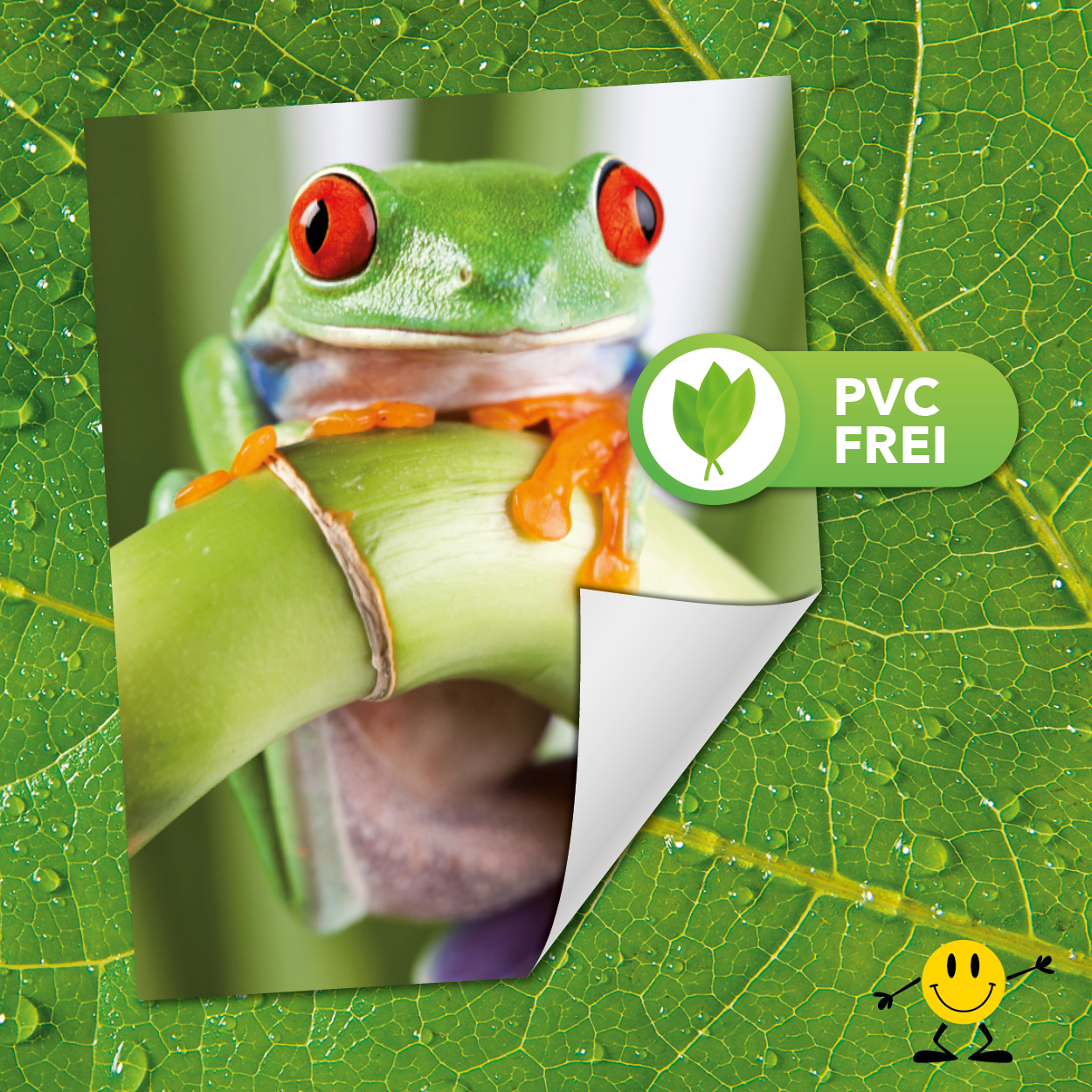 PVC-freie Klebefolie PVC-freie Klebefolie