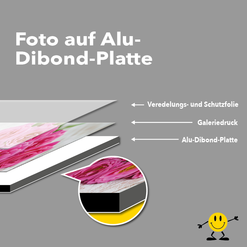 Foto auf Alu Dibond Platte